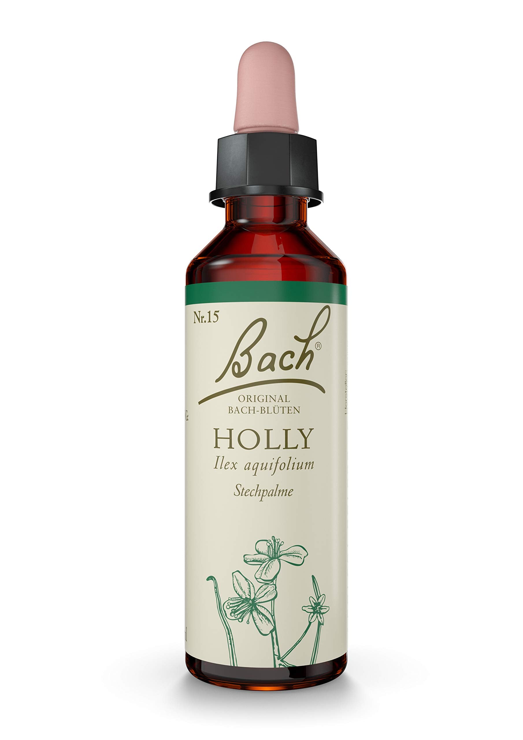 Bach - Holly