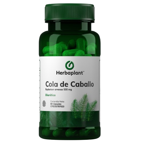 Cola de Caballo 500mg 60cap