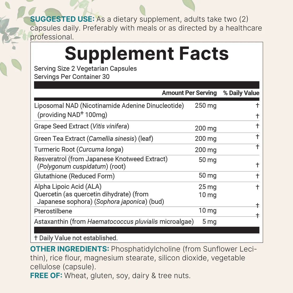 Micro Ingredients, Liposomal NAD + Ultimate, 60 Vegetarian Capsules