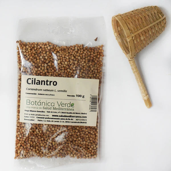 Cilantro
