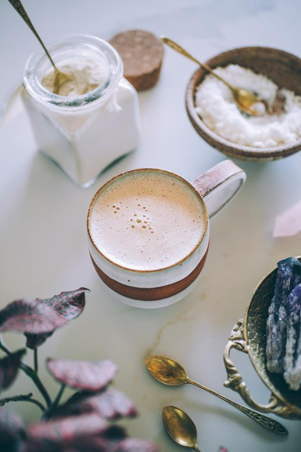 anima-mundi-adaptogen-book-photo-selects