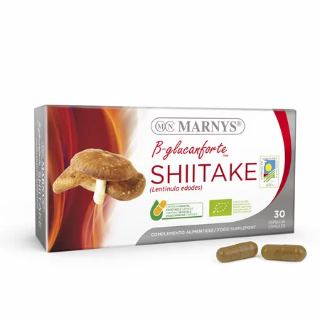 SHIITA.webp