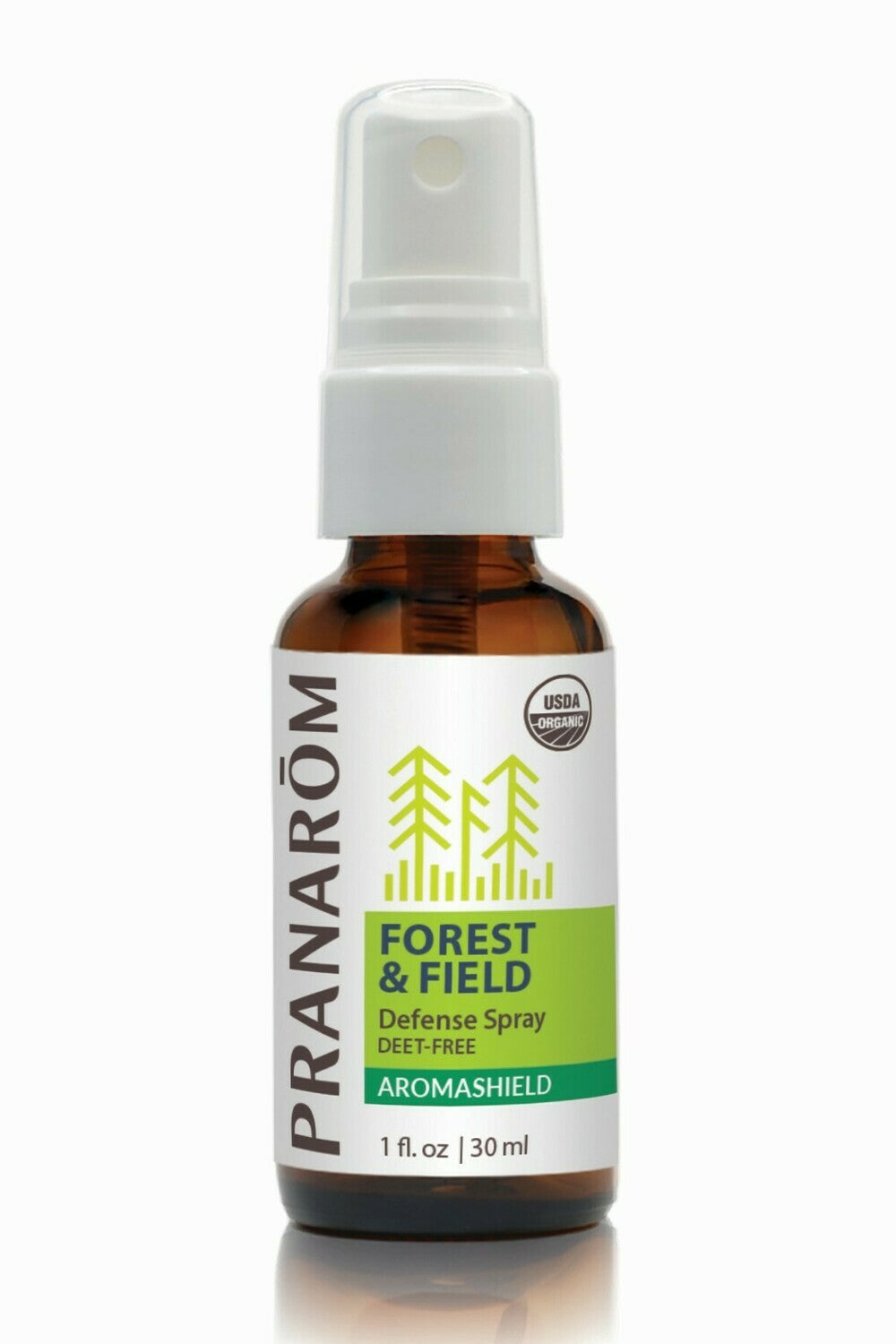 forest.jpg