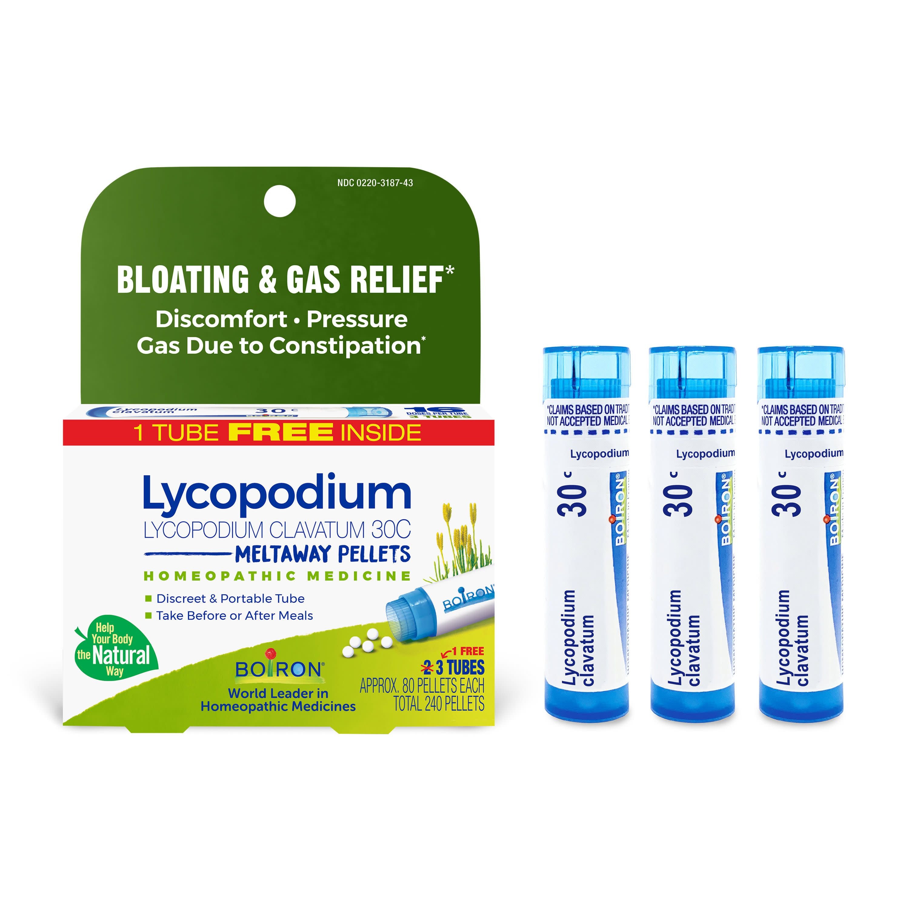 LYCOPODIUM.jpeg