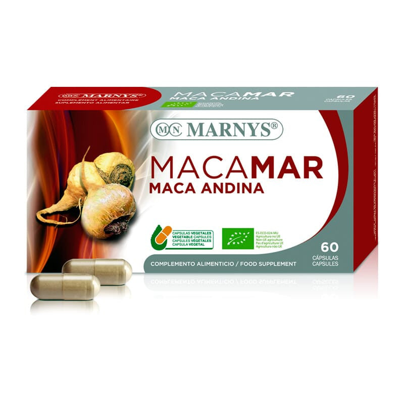 Macaa 2.jpg