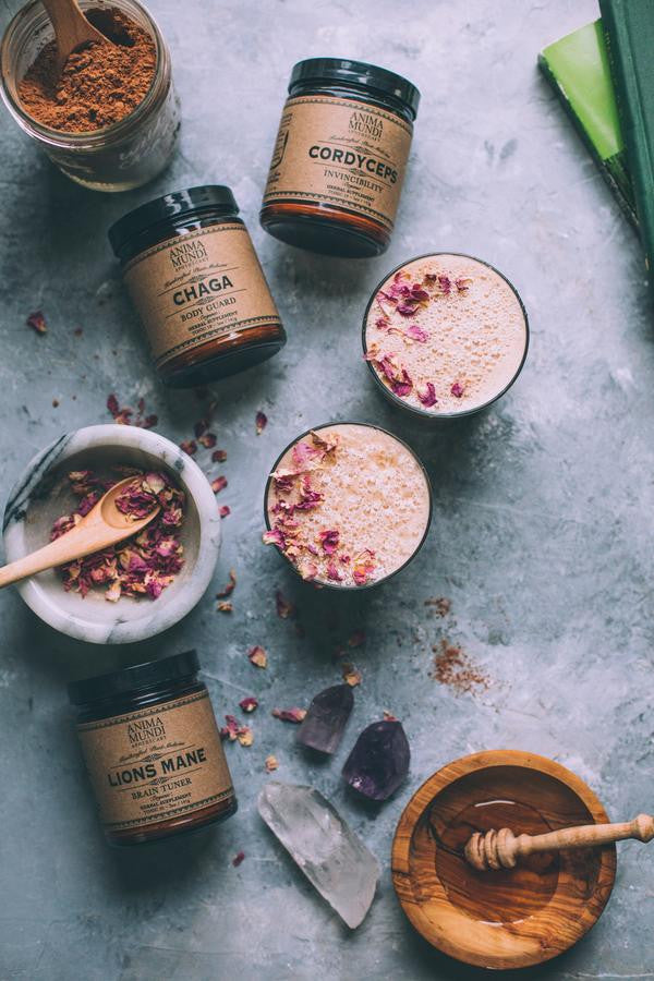 anima-mundi-july-2019-1365_78498e83-e1bb