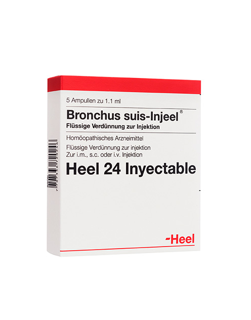 Bronchus.png