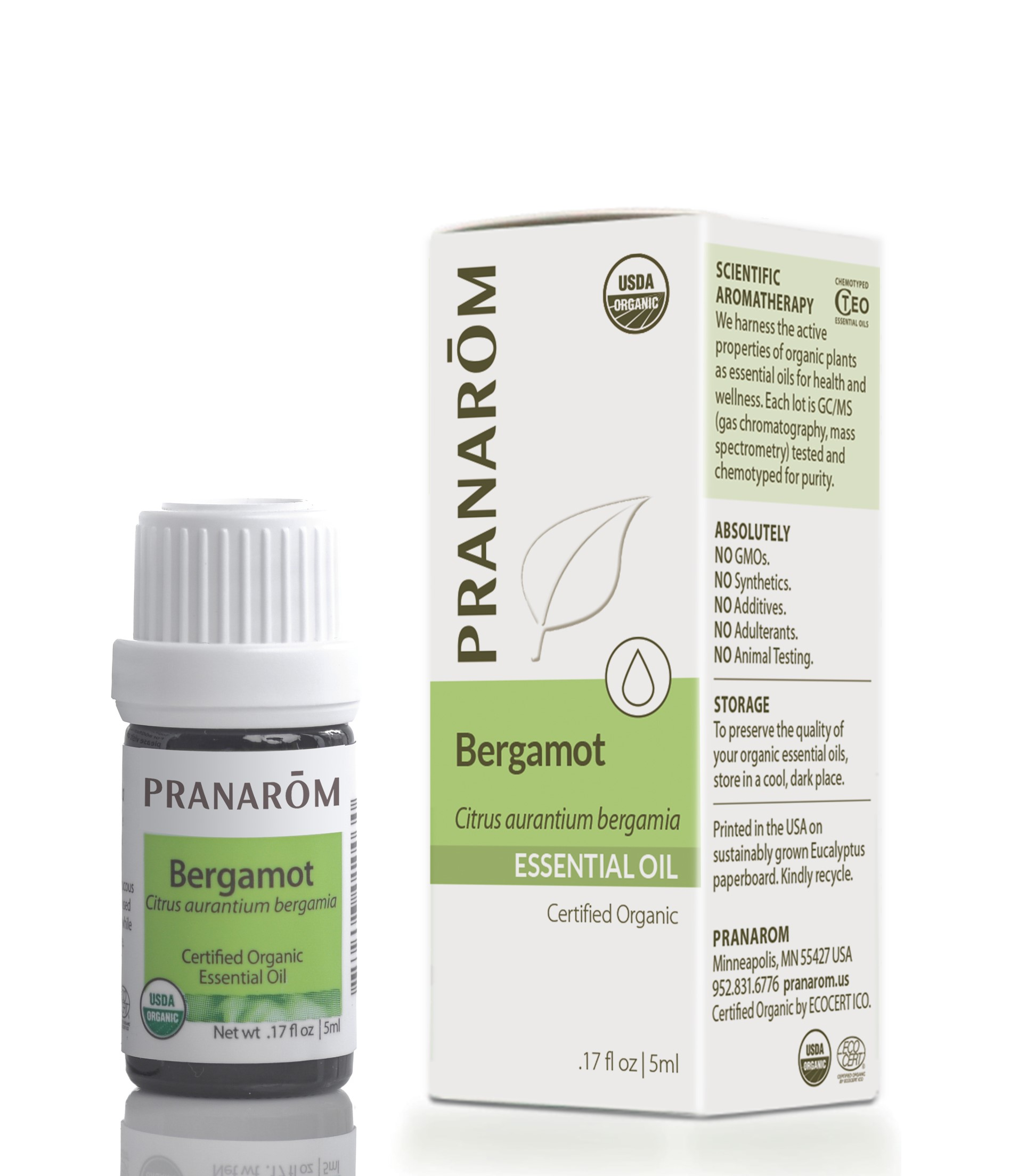 BERGAMOT.png