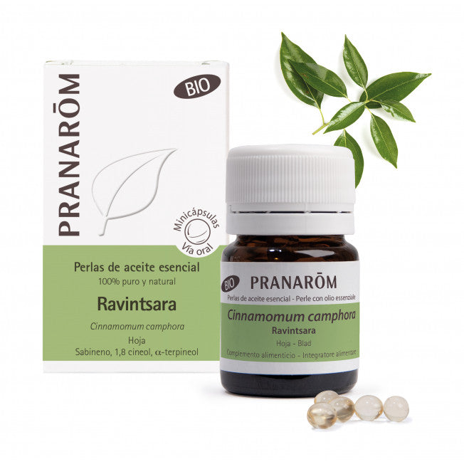 ravintsara.jpg