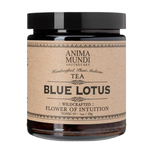 AMBLUELOTUS1.png