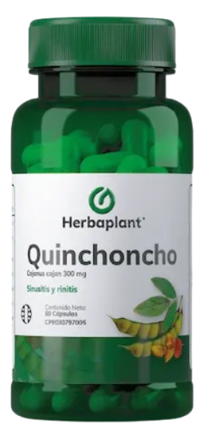 HERBQUINC.png