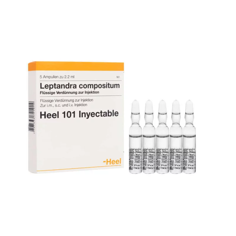 LEPTA.AMP.webp