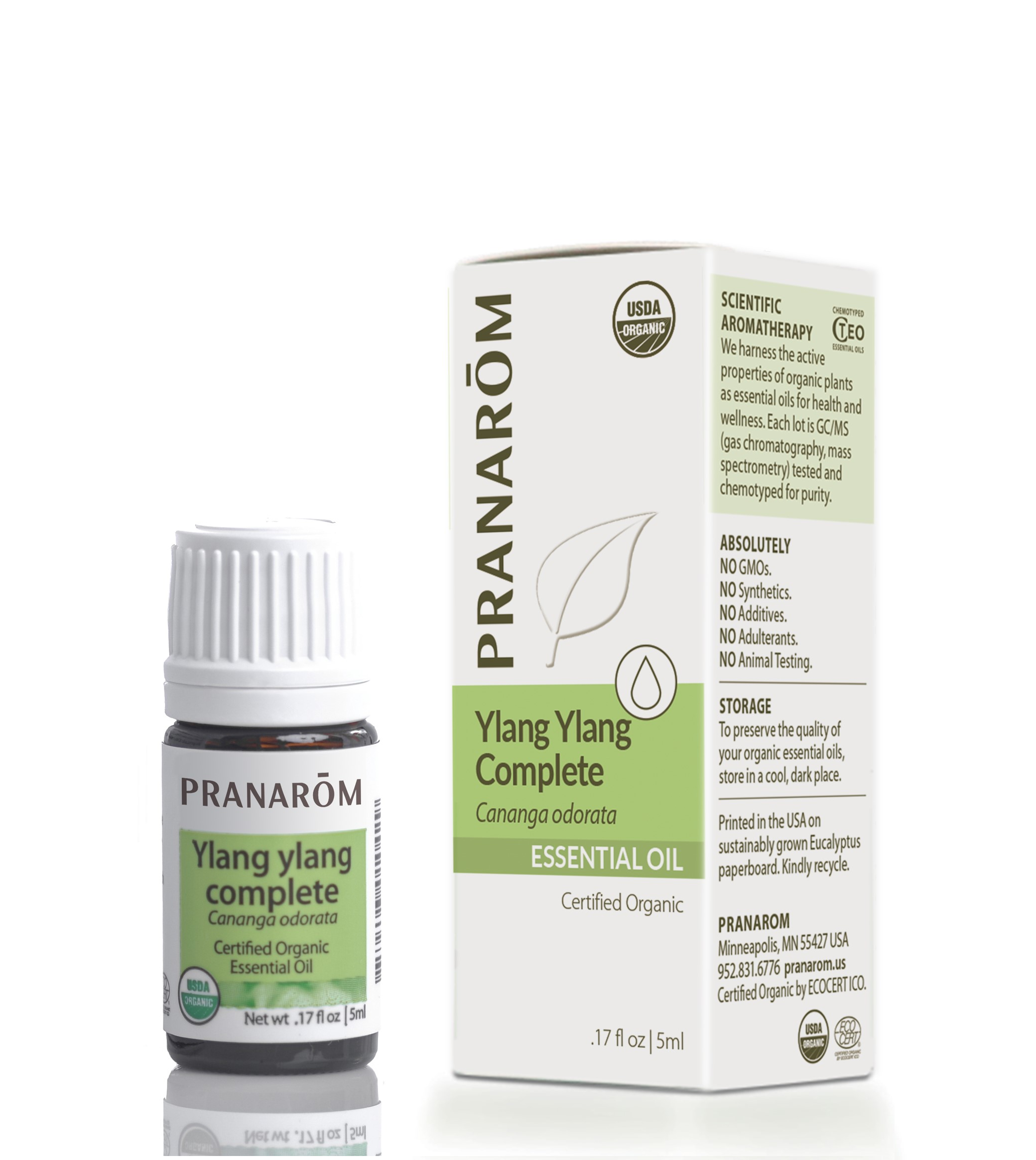YLANG.png