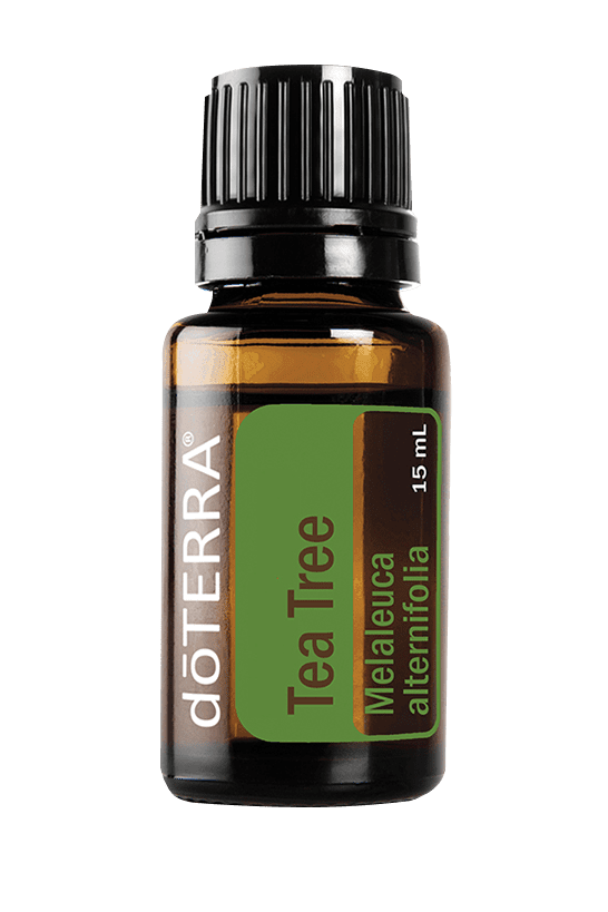 2x3-15ml-tea-tree.png
