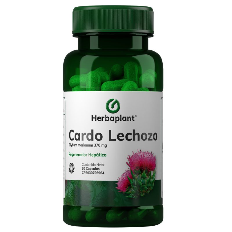 HERBCARDO.png