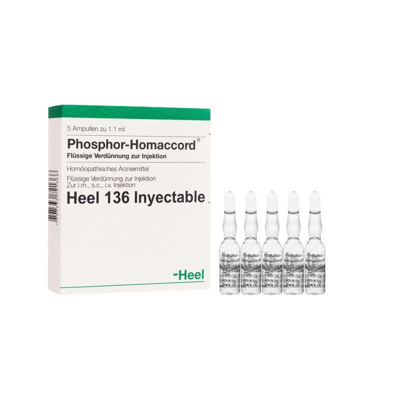 PHOSPHOR-HOMACCORD.jpg