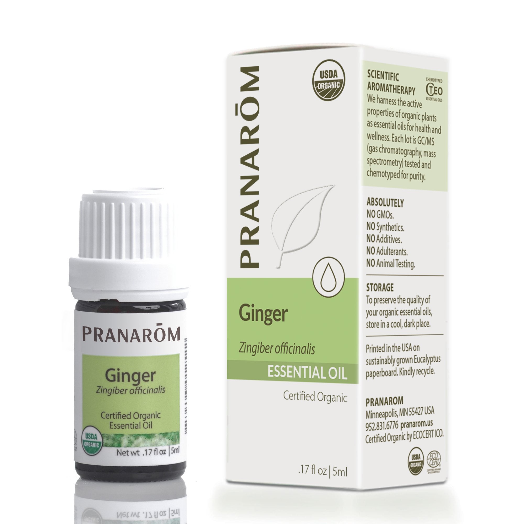 Ginger 5ml.jpg