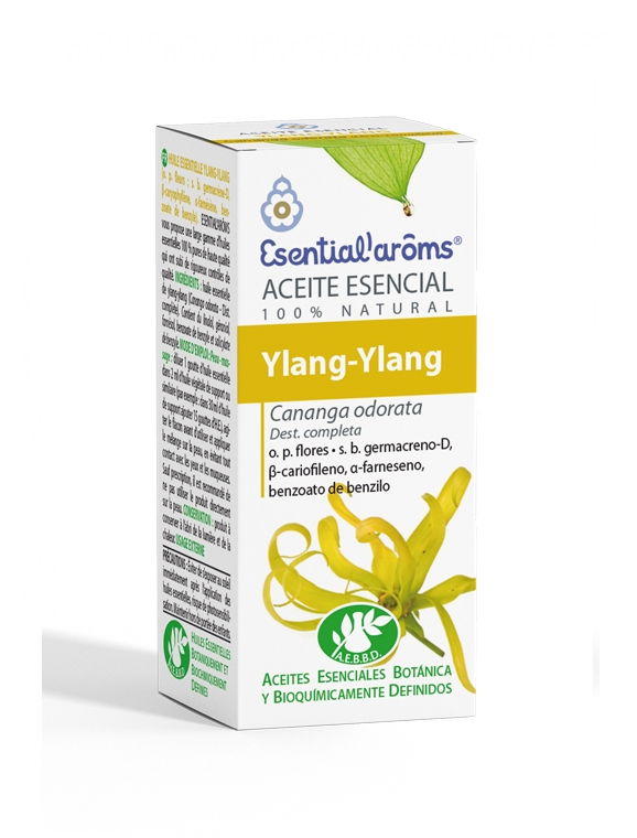 YLANG.Y.png