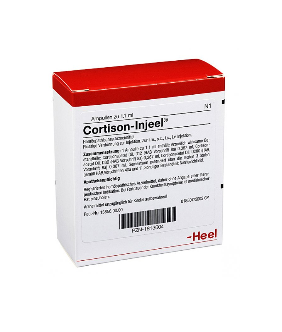 CORTI.png