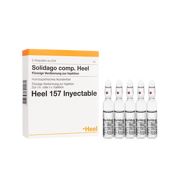 SOLIDAGO-COMP.-HEEL-INYECTABLE.jpg
