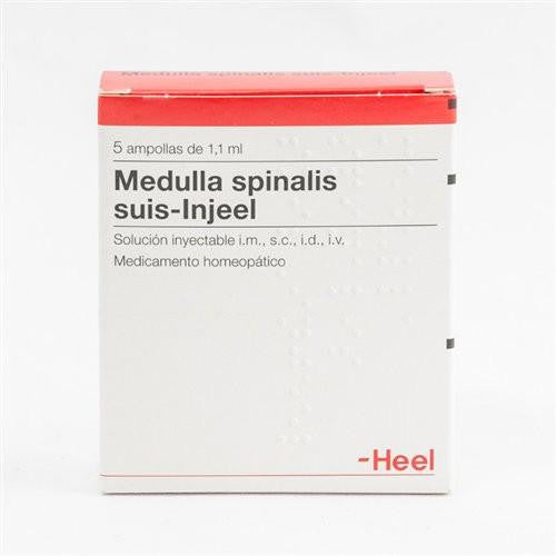 2.MEDULLA_SPI.jpg