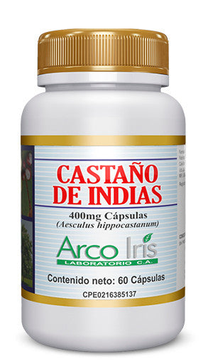castaño de indias.jpg