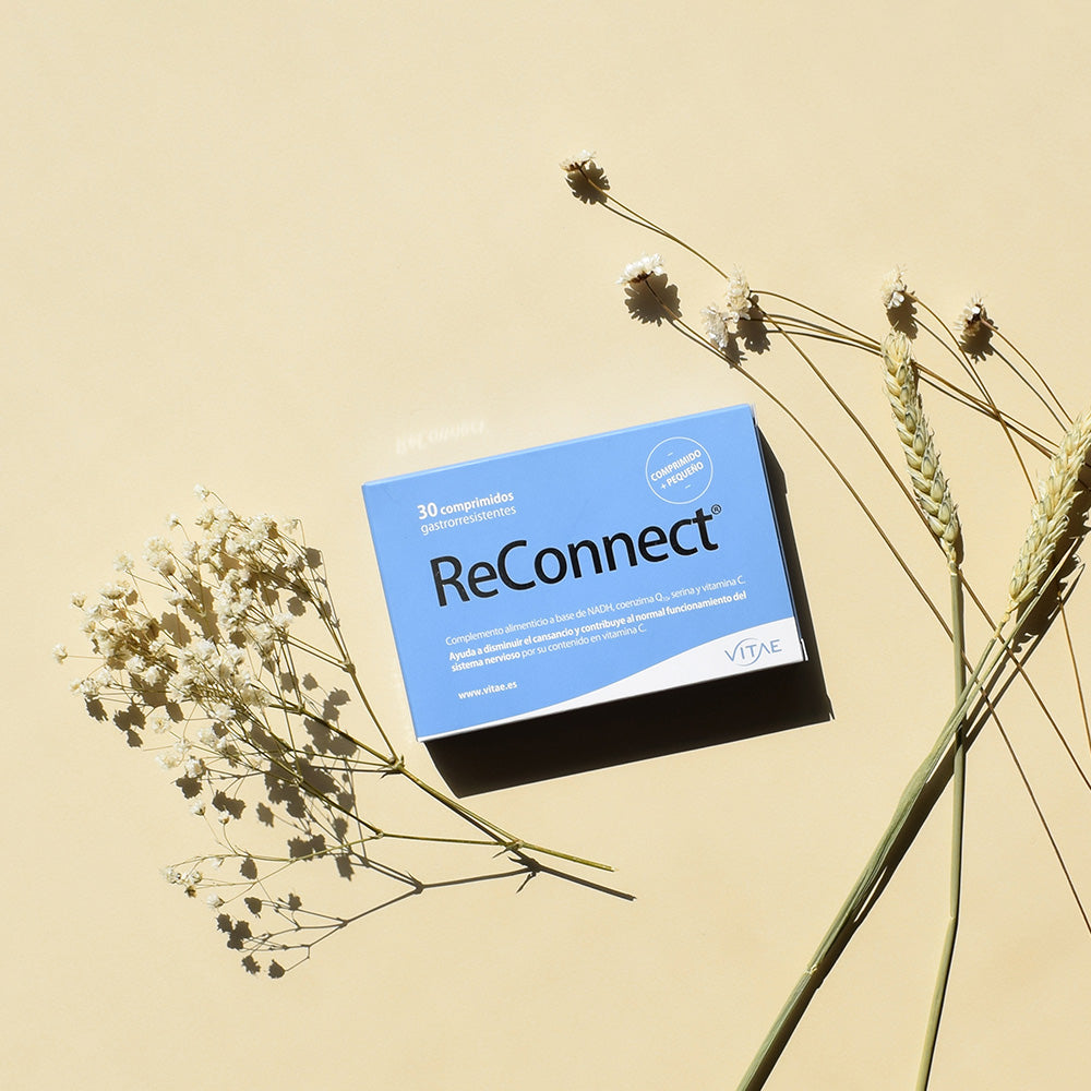 ReConnect 30