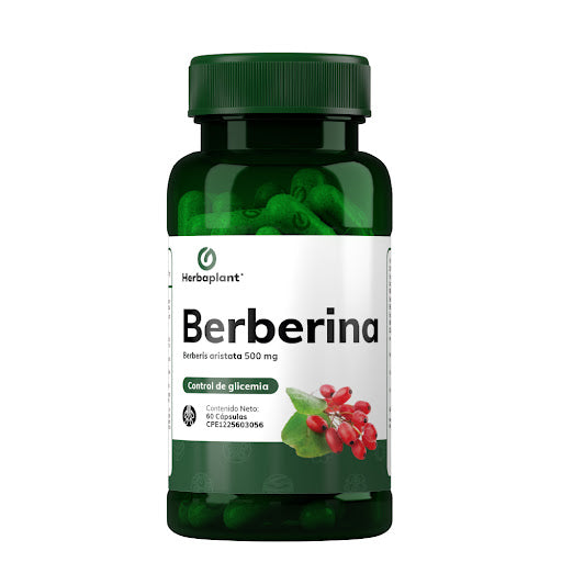 BERBERINA 500mg 60 cap