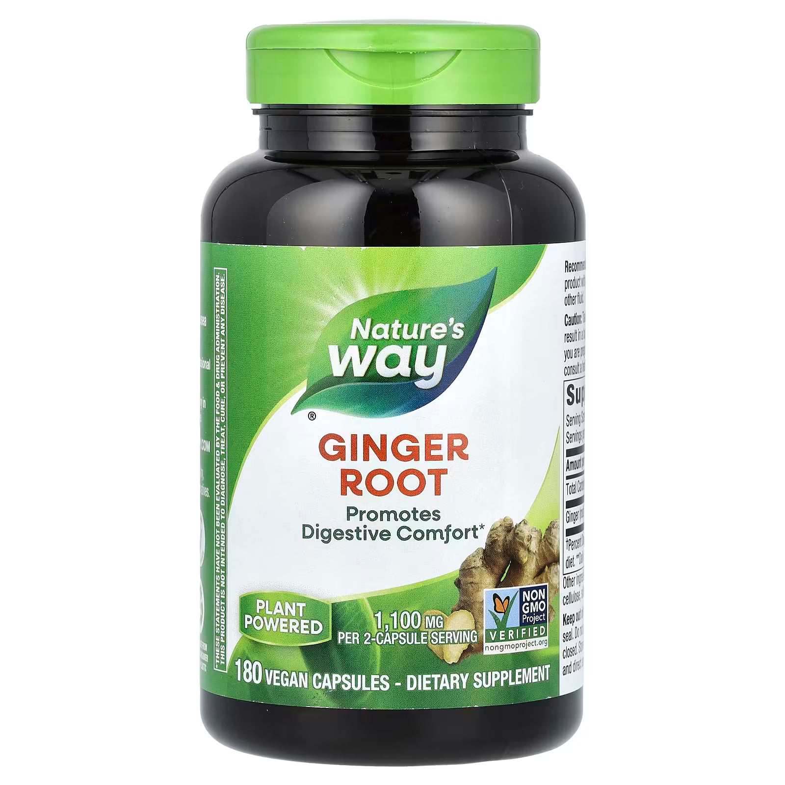 Nature's Way Ginger Root