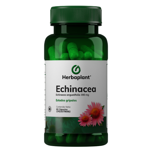 ECHINACEA 390MG 60CAP